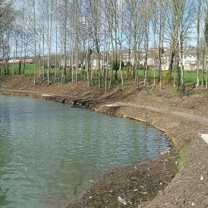 Lliswerry Pond, Dredging, footpaths & Lanscaping
