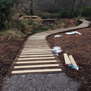 Constructing wood trail and bridge 