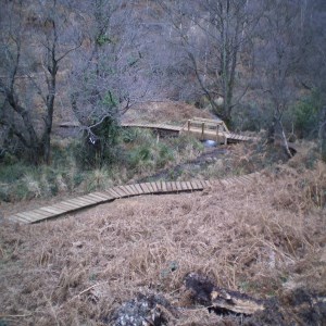 Trail wood bridge